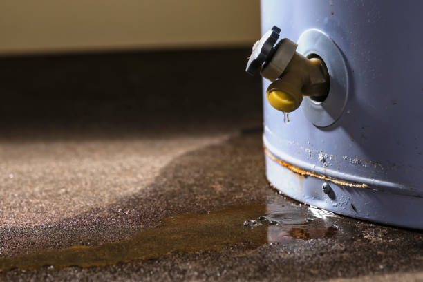 Best Sewage cleanup and water damage restoration  in Shelbyvle, IL