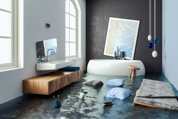 Best Mold removal after water damage  in Shelbyvle, IL