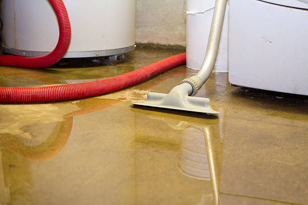 Best Water damage restoration near me  in Shelbyvle, IL