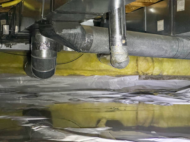 Best Water damage mitigation services  in Shelbyvle, IL